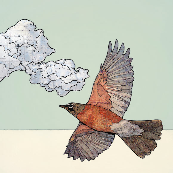 Robin in the Clouds