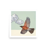 Robin in the Clouds : Reproduction : 16 x 16