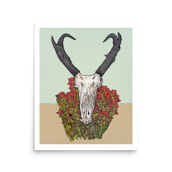 Pronghorn Antelope with Paintbrush Flowers : Reproduction : 16 x 20