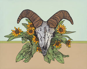 Female Bighorn Sheep with Arrowleaf Balsamroot