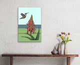 Hummingbird Aloe