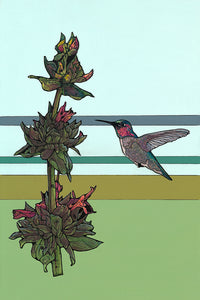 Hummingbird Sage