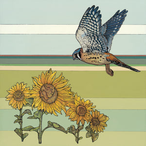 Kestrel with Sunflowers