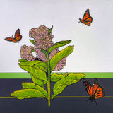 Milkweed with Monarchs