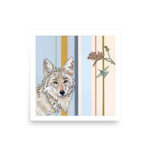 Coyote in Canis Minor : Reproduction : 16 x 16